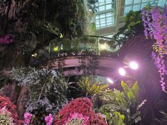 -正佳雨林生态植物园