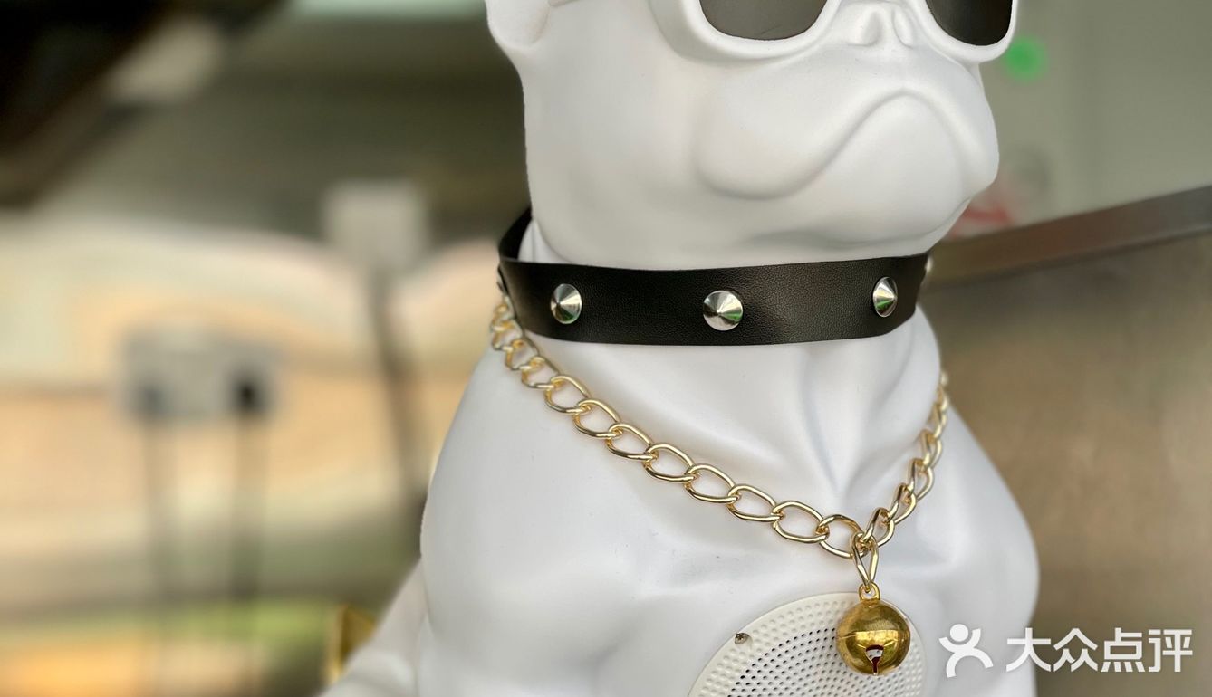 Rolling Dog 翻滚狗狗🐩魔都首家红茶面🍜