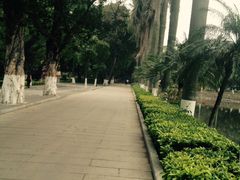 -中山大学学者灵芝(园南路店)