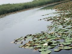 -太湖湖滨国家湿地公园-停车场