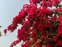 -华南国家植物园-售票处