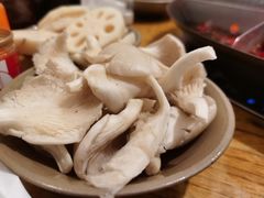 平菇-刁姐火锅(五小区店)