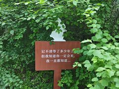 -长春净月潭风景名胜区