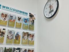 -美联众合动物医院·24h转诊中心