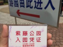 -嘉定紫藤园