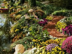 -上海共青森林公园