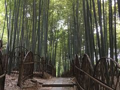 -宝岩生态观光园