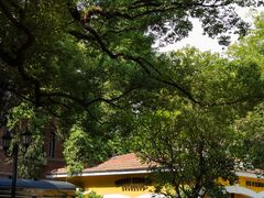 -火车头法国西餐厅