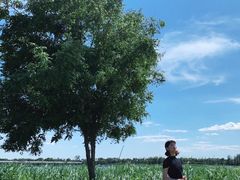 -绿堤公园