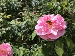 -国家植物园