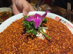 -蜀大侠火锅(总府路店)