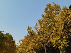 -苏州河梦清园环保主题公园