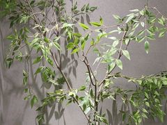 -钱塘花园·宁波菜