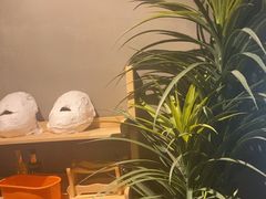 -施奈儿.洗头頭療.按摩SPA.采耳(上梅林店)
