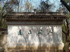 -惠山国家森林公园