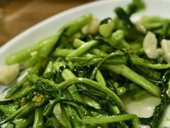 -遇龙河大樟树农家乐