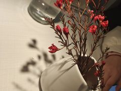 -春树下·树屋花房西餐厅(罍街AS1980店)