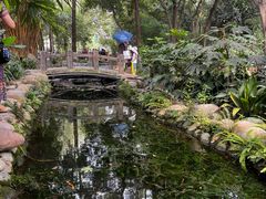 -成都市活水公园