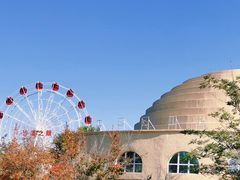 -亿利库布其七星湖沙漠生态旅游区