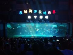 -泉城欧乐堡海洋极地世界