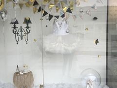 -iBallet爱芭蕾舞蹈艺术中心(星合校区)