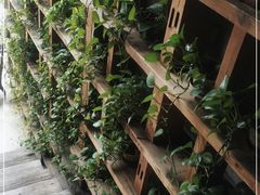 -漫咖啡MAANCOFFEE(清江路店)