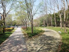 -上海中医药大学附属曙光医院(东部)