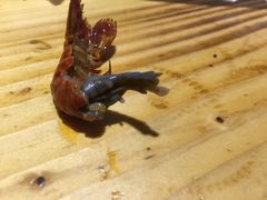 -刘一龙虾(数码路店)
