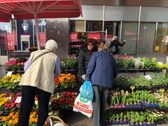 -耶拉契奇总督广场