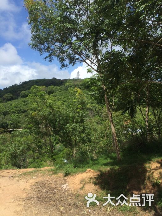 海景大象营图片 - 第2张