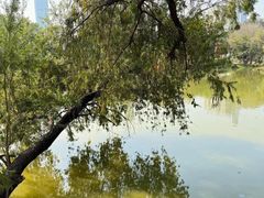 -人民公园(罗湖区)