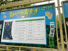 -青枫公园