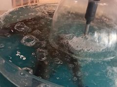 -渔歌子鱼头王(郑州总店)
