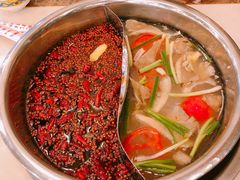 -朱氏胖子烂火锅(洪崖洞店)