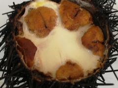 -宾朋海鲜特色美食餐厅·纯手工鲅鱼水饺(兴海路店)