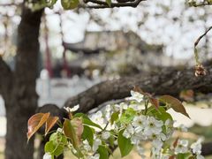 -赵州桥景区