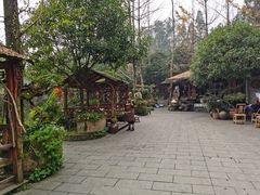 -青城甲(青城山店)