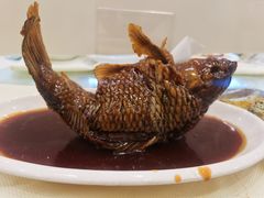 挣蹦鲤鱼-奥华餐厅·老张记(台基厂店)