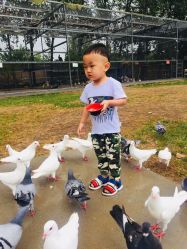 -上美四季动物农场