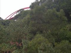 -金鸡山公园