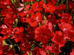 -宜昌富力皇冠假日酒店·咖啡1号西餐厅