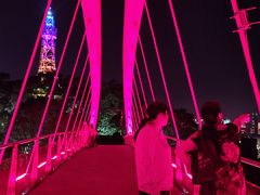 -金鸡山公园