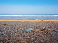 -漳州滨海火山岛自然生态风景区