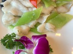 滑炒玉兰片-怡园饭店-餐厅(四望亭店)