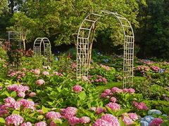 -上海共青森林公园