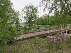 -长春市南湖公园