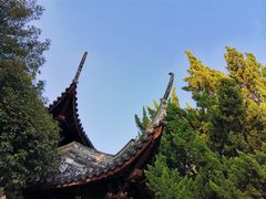 -秋霞圃