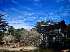 -国家植物园南园