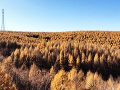 -塞罕坝国家级自然保护区