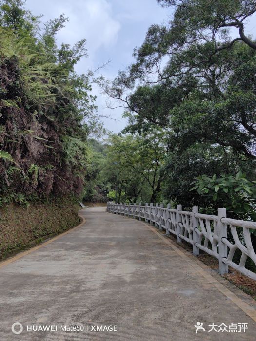 叱石风景区图片